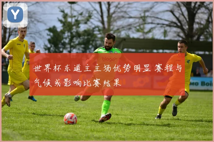 世界杯东道主主场优势明显 赛程与气候或影响比赛结果