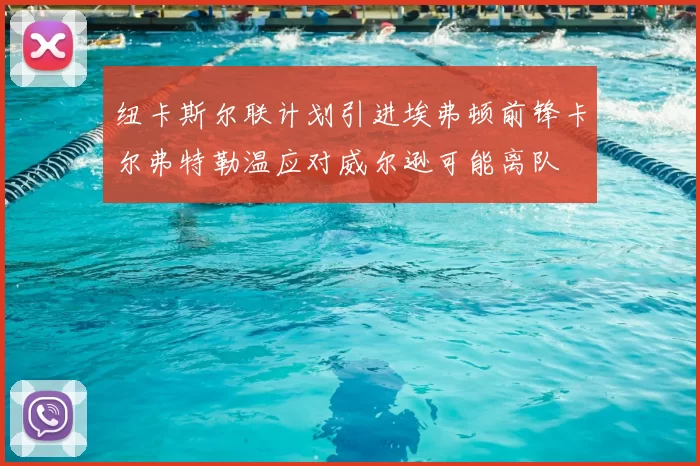 纽卡斯尔联计划引进埃弗顿前锋卡尔弗特勒温应对威尔逊可能离队