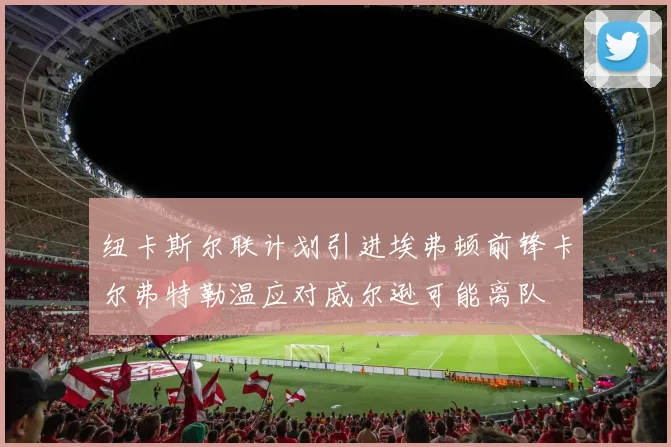 纽卡斯尔联计划引进埃弗顿前锋卡尔弗特勒温应对威尔逊可能离队