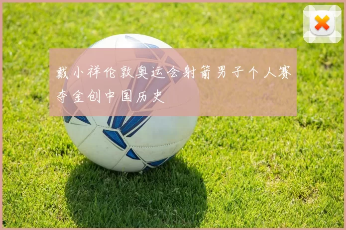 戴小祥伦敦奥运会射箭男子个人赛夺金创中国历史
