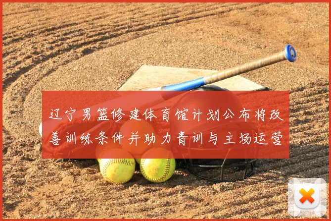 辽宁男篮修建体育馆计划公布将改善训练条件并助力青训与主场运营