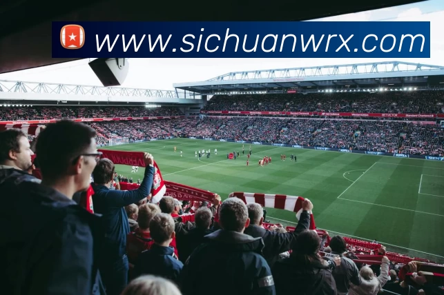 多媒体互动体验